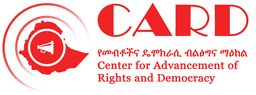 Ethiopia’s Government Bans Two Prominent Human Rights Organizations