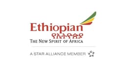 Ethiopian Airlines Flight to Dubai Returns Safely to Addis Ababa After Technical Issue