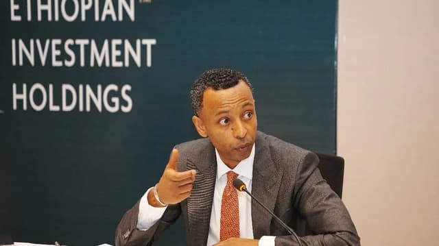 Ethiopian Investment Holdings Plans Global Stock Market Return, Eyes Multinational Investments